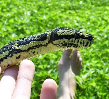 outside again