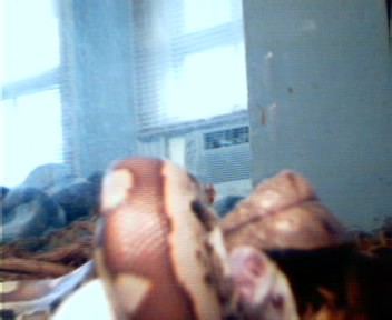 (close-up shot of my blood killing)