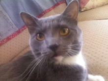 my baby raja