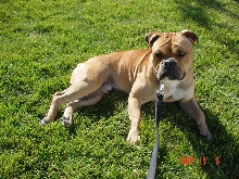 rocky Chilling