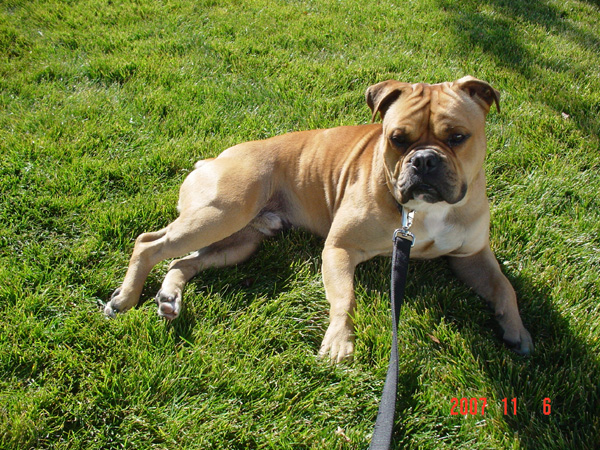 rocky Chilling