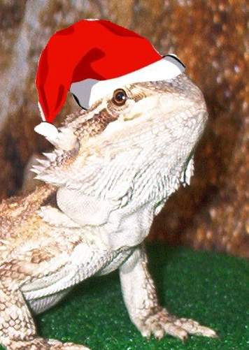 Happy Xmas