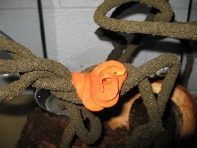 Orange Flame Female