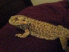 SPIKE!!!!!