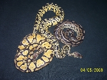Group Photo