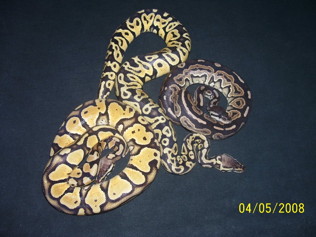 Group Photo
