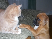 Marriage Proposal?