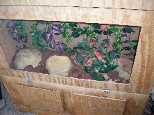 New Substrate Dum.