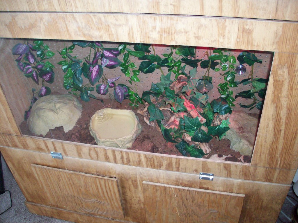 New Substrate Dum.