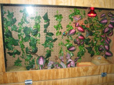 Earl's home 1