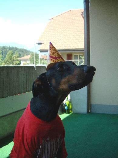 Where's the party?
