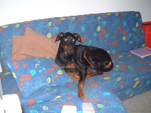 couch