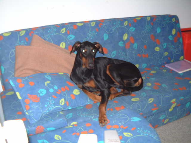 couch