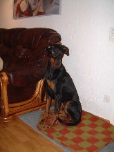 Shadow
