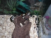 Another photo