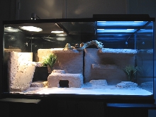 Rocky's Home