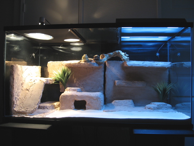 Rocky's Home