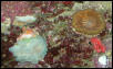 Saltwater Photos