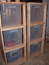 arboreal snake racks