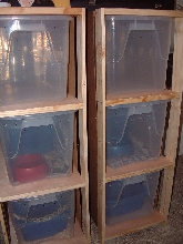 arboreal snake racks