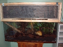 Crested Gecko Cage