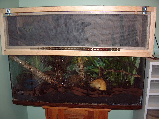 Crested Gecko Cage