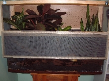 crested gecko cage