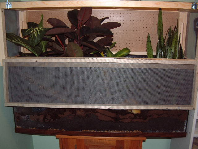 crested gecko cage