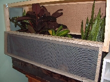 Crested Gecko cage
