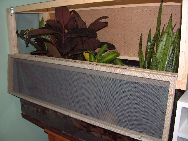 Crested Gecko cage