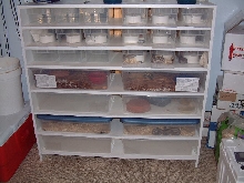 snake rack