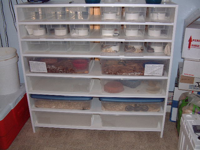 snake rack