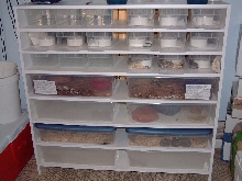 snake rack