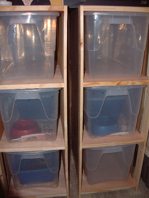 snake racks