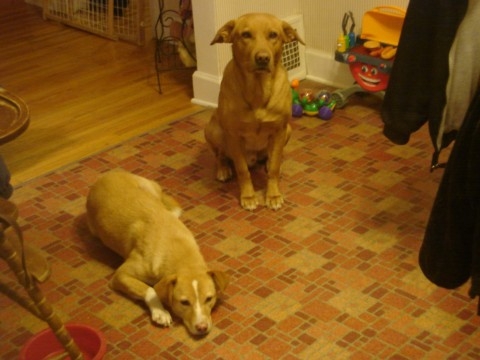 My best friends
