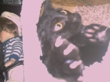 Baby B. gone physo kitty