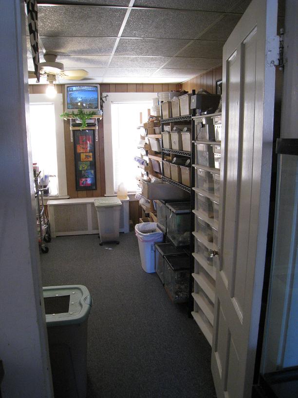 Updated pics of our herp room