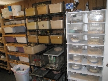 Rodent Breeding Area