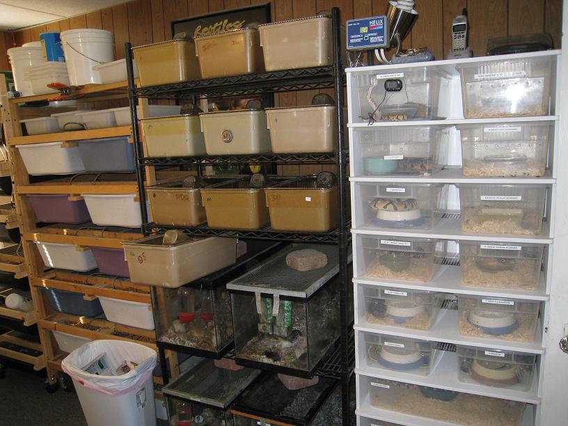Rodent Breeding Area