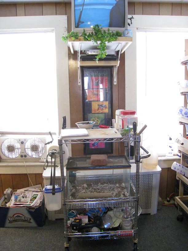 TV and Workstation
