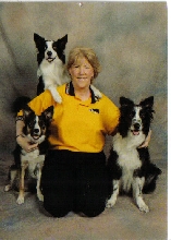 The Old Gang