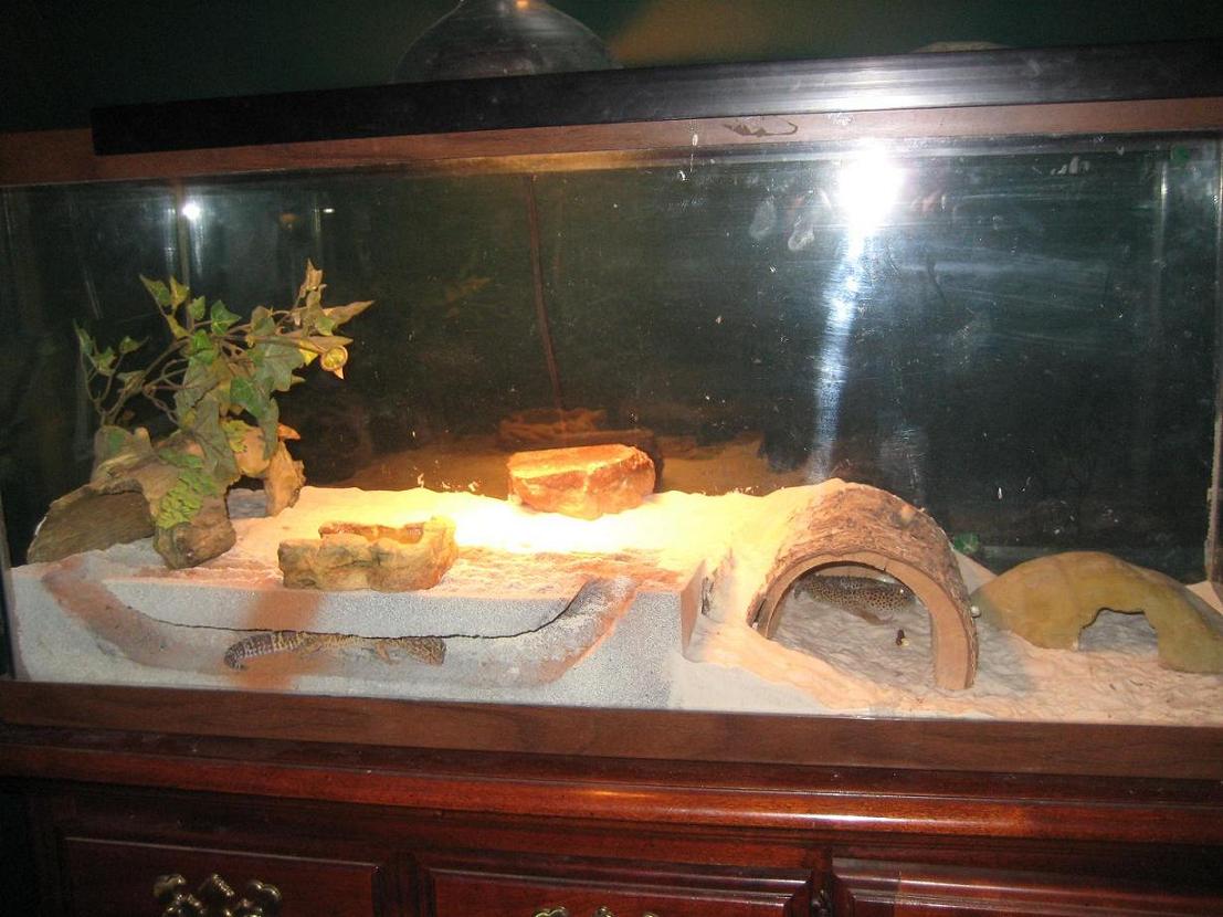 Tank