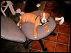 Einstein @ 10 Weeks