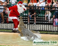 Croc Attack