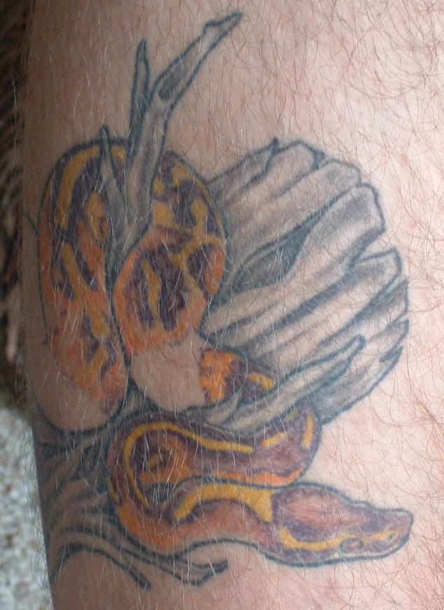 piebald tattoo #2