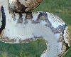 close up