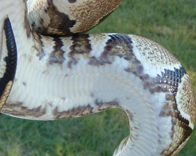 close up