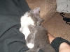 Fluffy Cakes3