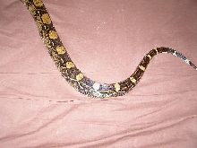 help boa id