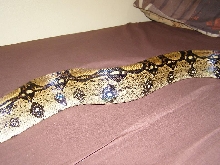 help boa id